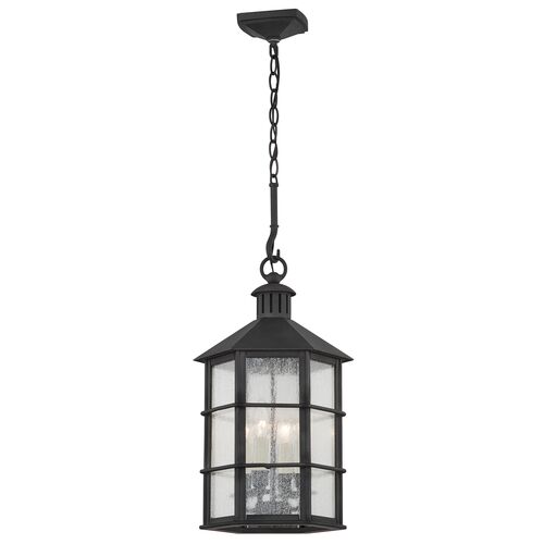 Lake County Outdoor Lantern, French Iron