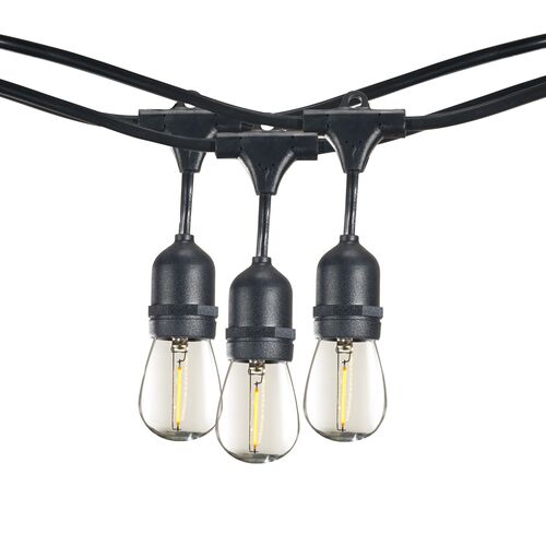Caleb 12-Pc String Lights, Black