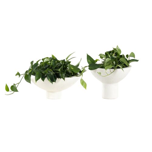 S/2 Presley Outdoor Planter, Plaster 10 S/2 Presley Outdoor Planter, Plaster