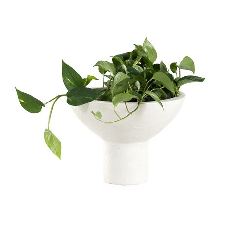S/2 Presley Outdoor Planter, Plaster 8 S/2 Presley Outdoor Planter, Plaster