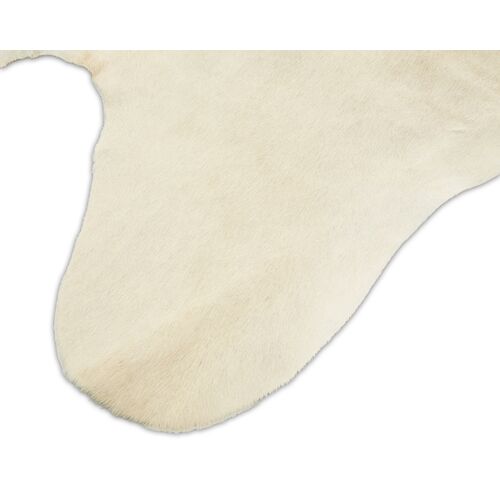 Daisy Hide, Eggshell 3 Daisy Hide, Eggshell