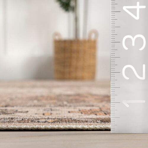 Barbary Distressed Machine Washable Area Rug 3 Barbary Distressed Machine Washable Area Rug