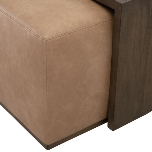 Remy 2-Pc Upholstered Coffee Table, Tan Leather 5 Remy 2-Pc Upholstered Coffee Table, Tan Leather