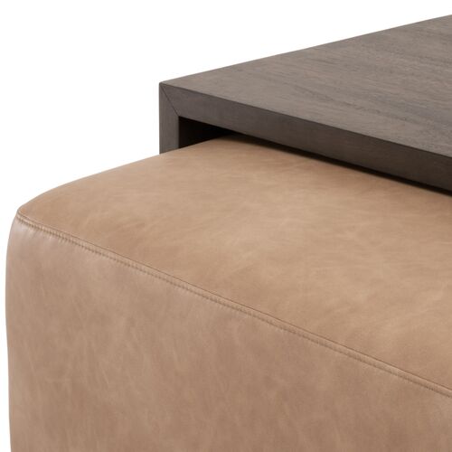 Remy 2-Pc Upholstered Coffee Table, Tan Leather 8 Remy 2-Pc Upholstered Coffee Table, Tan Leather