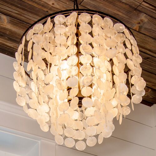 Brielle Capiz Shell 4-Light Chandelier, Dark Bronze 6 Brielle Capiz Shell 4-Light Chandelier, Dark Bronze