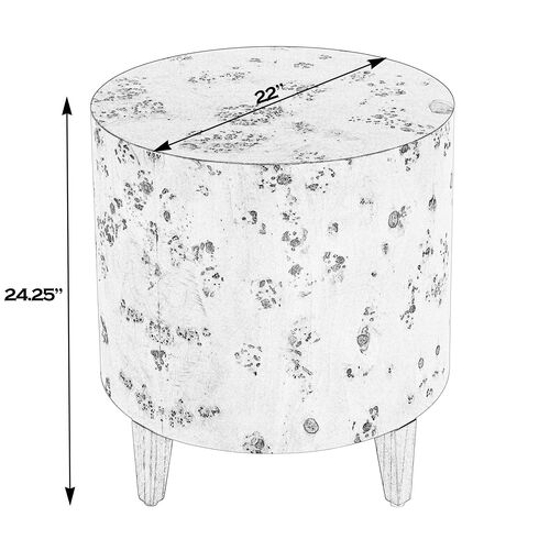 Noah Burl End Table 5 Noah Burl End Table