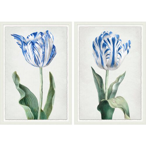 Lillian August, Spring Tulip 1-2 1 Lillian August, Spring Tulip 1-2