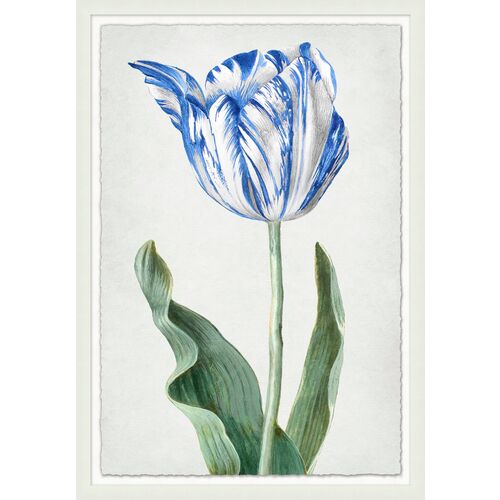 Lillian August, Spring Tulip 1-2 2 Lillian August, Spring Tulip 1-2
