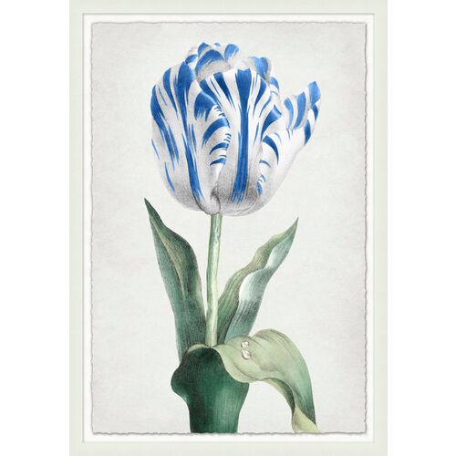 Lillian August, Spring Tulip 1-2 3 Lillian August, Spring Tulip 1-2