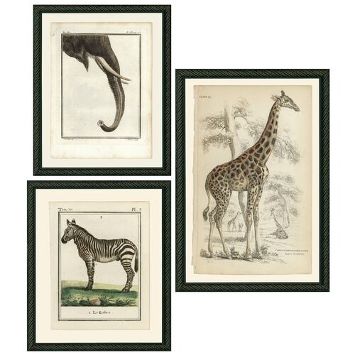 Smith & Co., Safari Animals