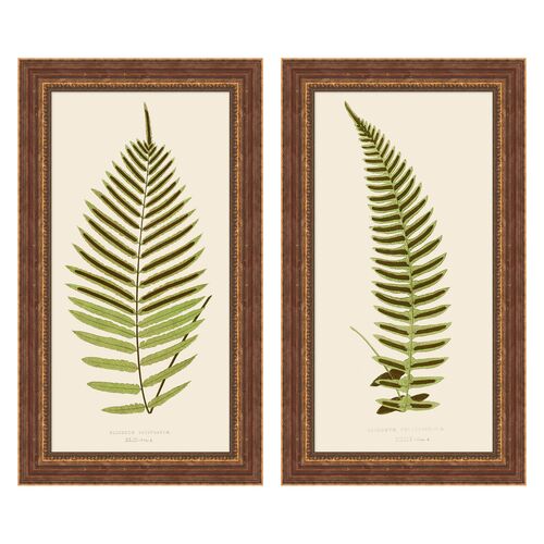 Lauren Liess, Fern Panel Set