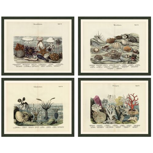 Smith & Co., 1890s Seascapes