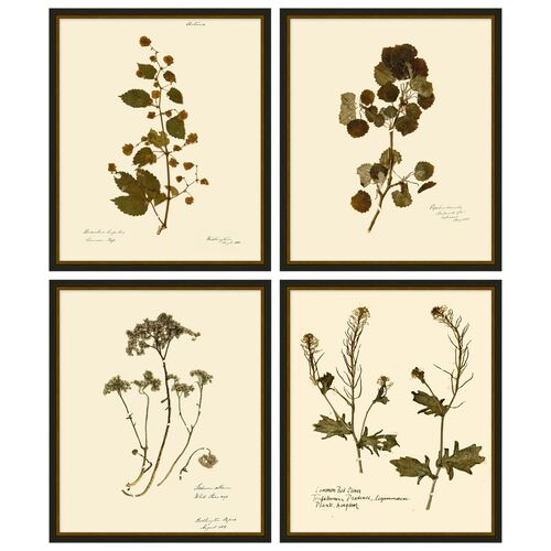 Lauren Liess, Pressed Floral Set