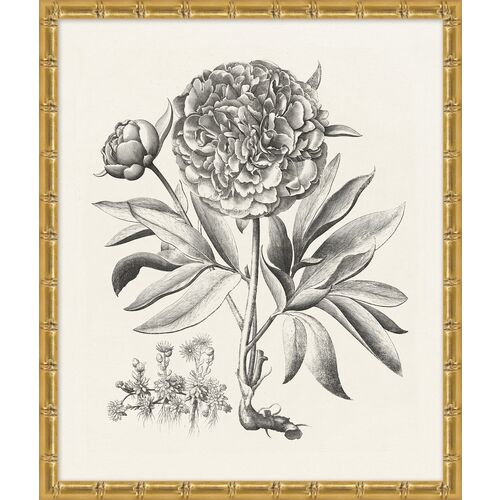 Lillian August, Bessler Study in Neutral I 1 Lillian August, Bessler Study in Neutral I