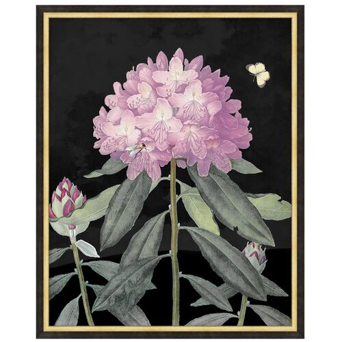 Lillian August, Poetic Botanicals 1 Lillian August, Poetic Botanicals