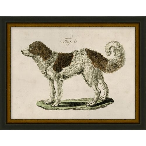 Lauren Liess, Antique Pup Sketch VI 1 Lauren Liess, Antique Pup Sketch VI