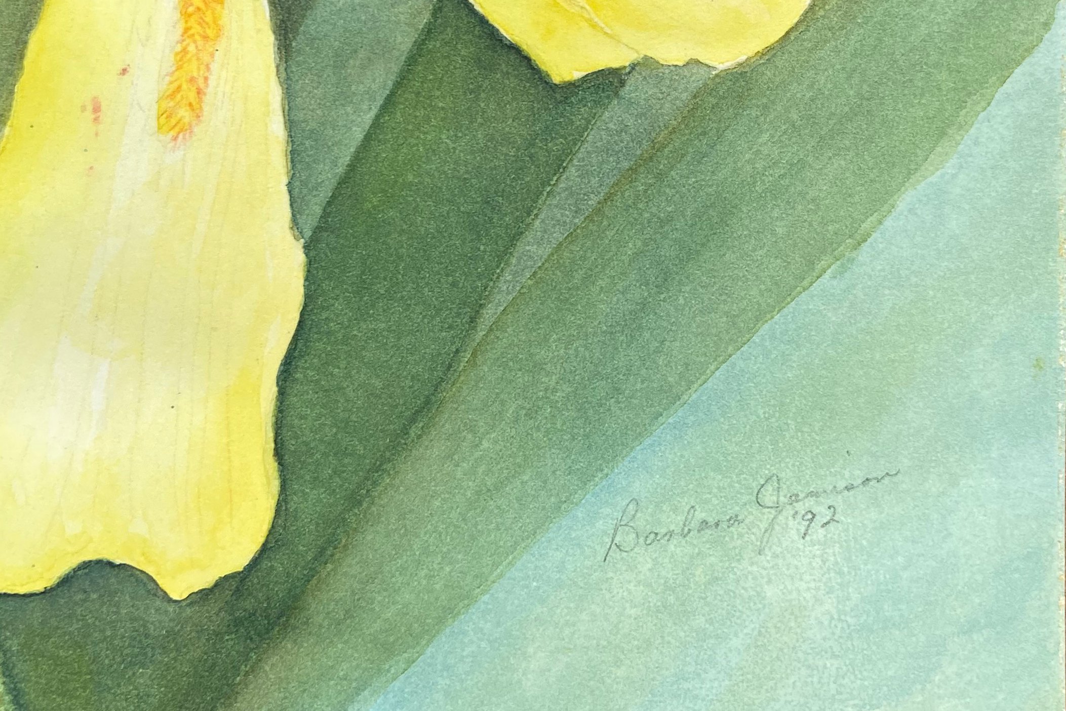 Irises by Barbara Jamison, 1992 2 Irises by Barbara Jamison, 1992