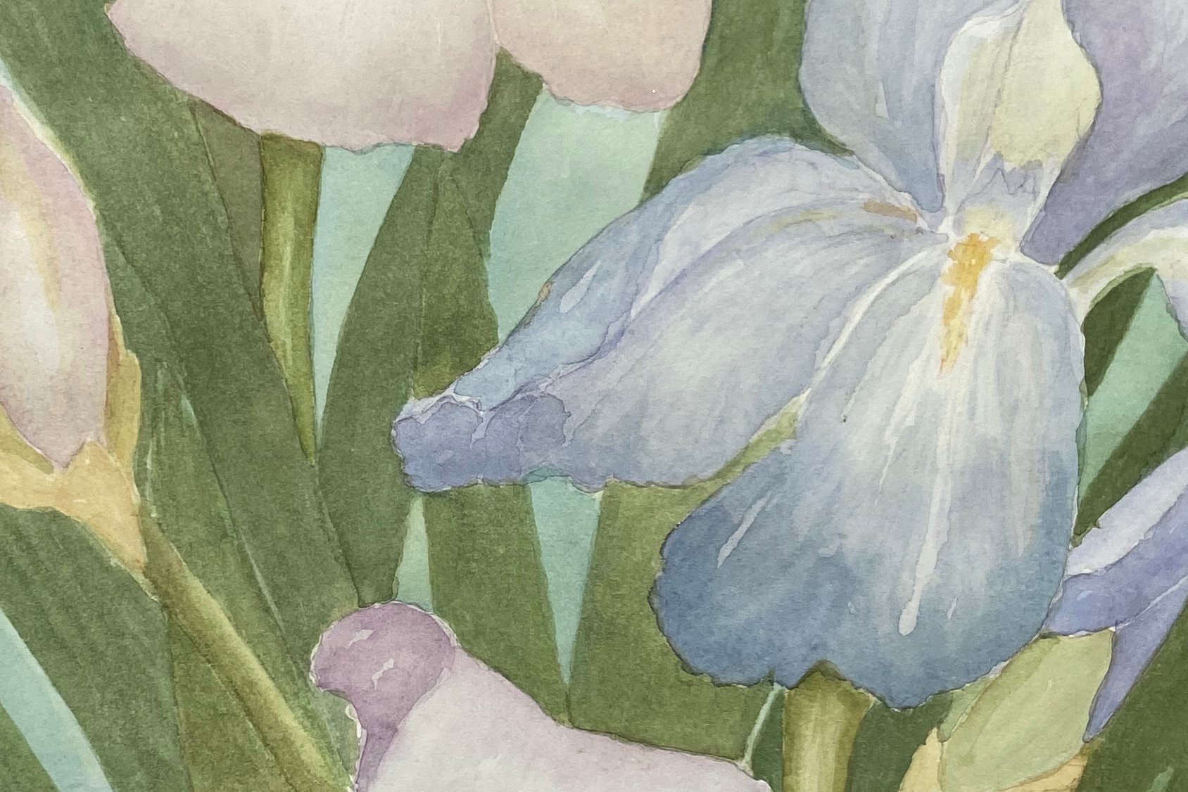 Irises by Barbara Jamison, 1992 3 Irises by Barbara Jamison, 1992