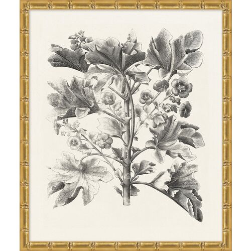 Lillian August, Bessler Study in Neutral 8 1 Lillian August, Bessler Study in Neutral 8