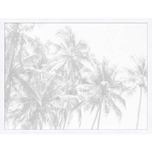 Palm Beach 1 Palm Beach