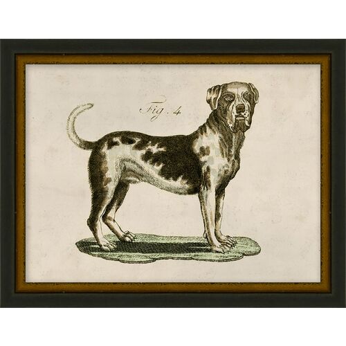 Lauren Liess, Antique Pup Sketch V 1 Lauren Liess, Antique Pup Sketch V