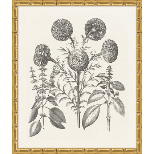 Lillian August, Bessler Study in Neutral X 1 Lillian August, Bessler Study in Neutral X