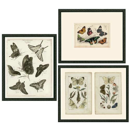 Smith & Co., Three Butterflies
