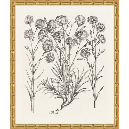 Lillian August, Bessler Study in Neutral XI 1 Lillian August, Bessler Study in Neutral XI