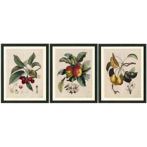 Smith & Co., Three Fruits