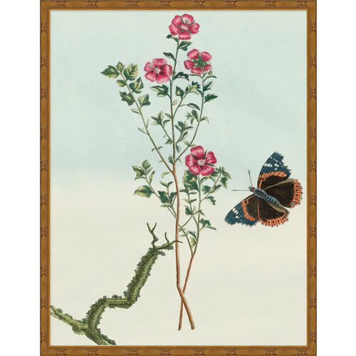 Birds & Butterflies II 1 Birds & Butterflies II