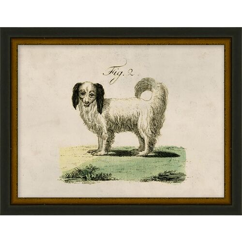 Lauren Liess, Antique Pup Sketch II 1 Lauren Liess, Antique Pup Sketch II