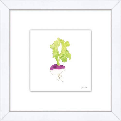 Sara Fitz, Turnip 3 1 Sara Fitz, Turnip 3