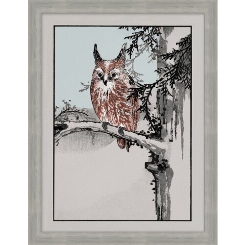 Japanese Owl 1 Japanese Owl