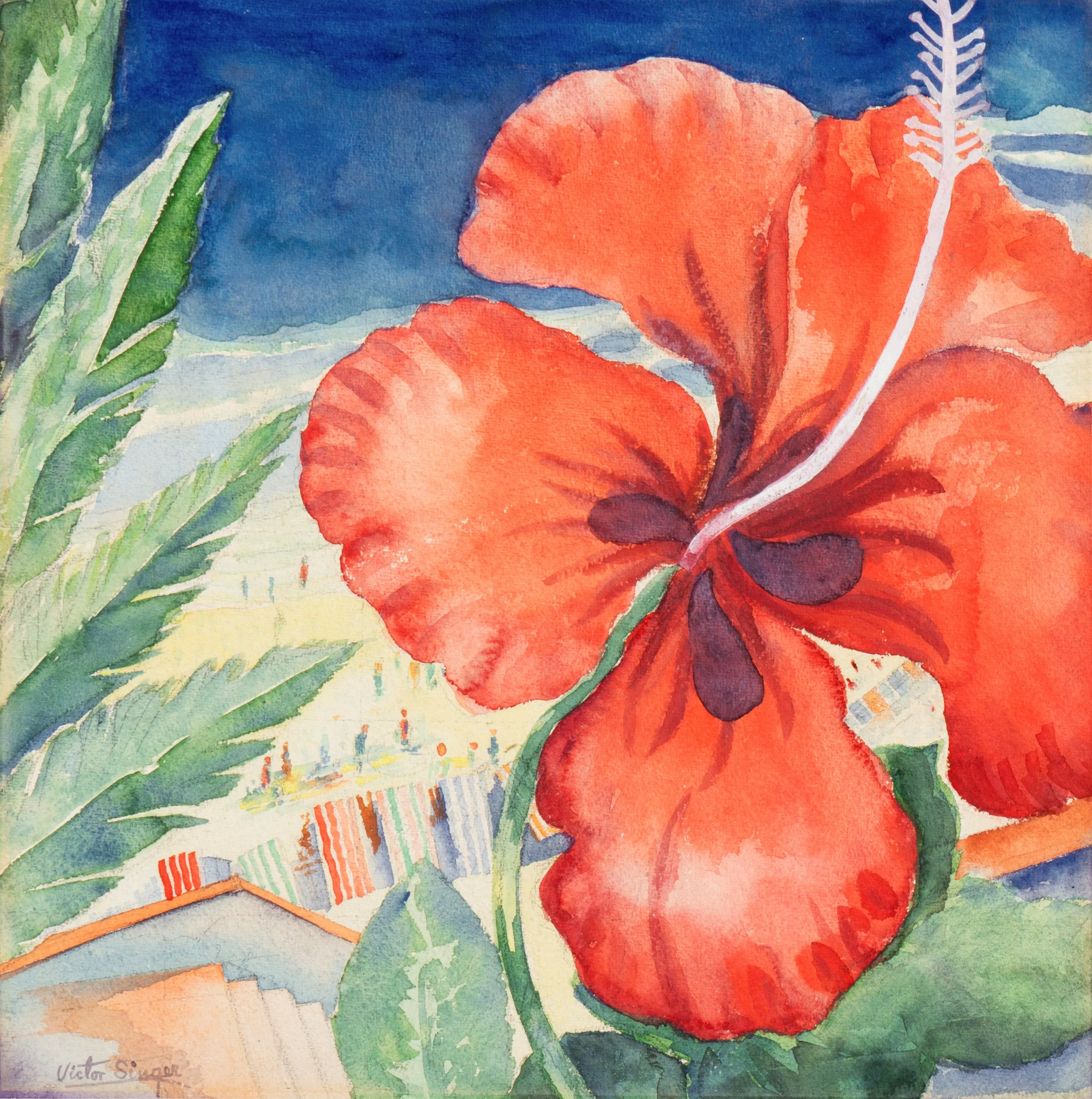 Hibiscus Blossom by the Beach, 1940s 1 Hibiscus Blossom by the Beach, 1940s