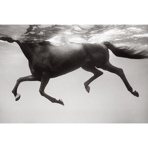 Underwater Rhythm 1 Underwater Rhythm