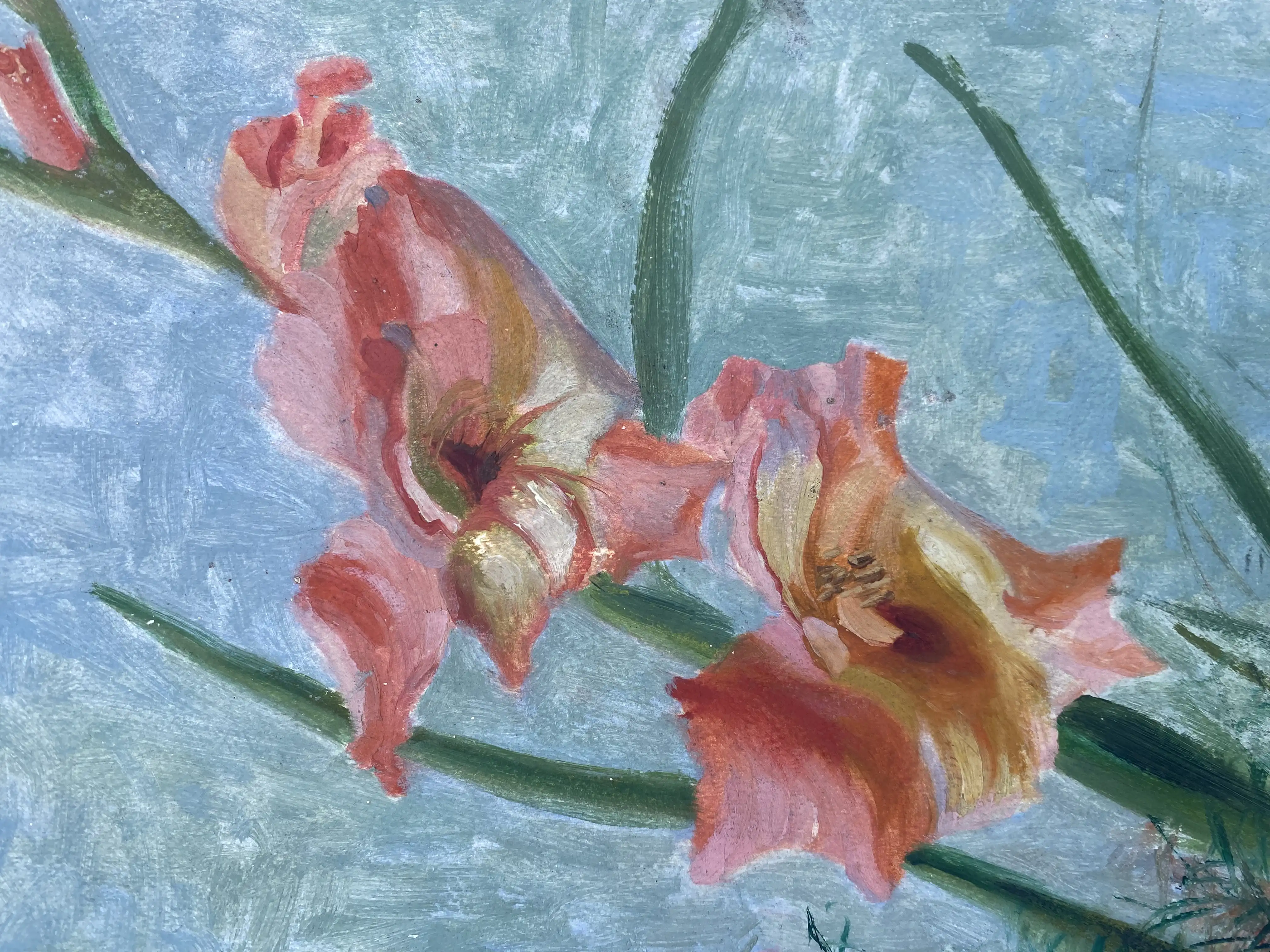 Pink Lilies' 5 Pink Lilies'