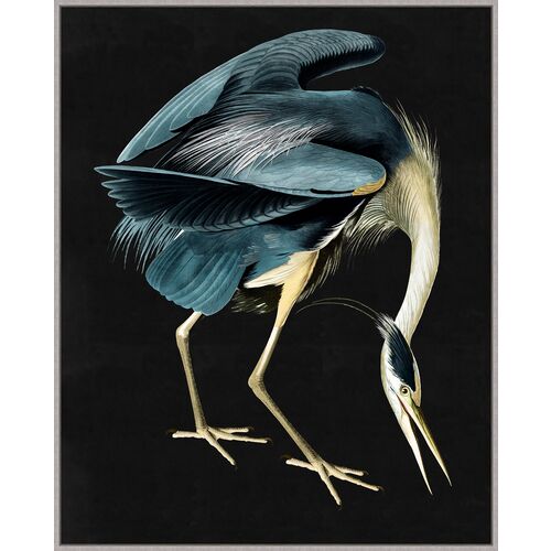 Bird Watching 1 1 Bird Watching 1