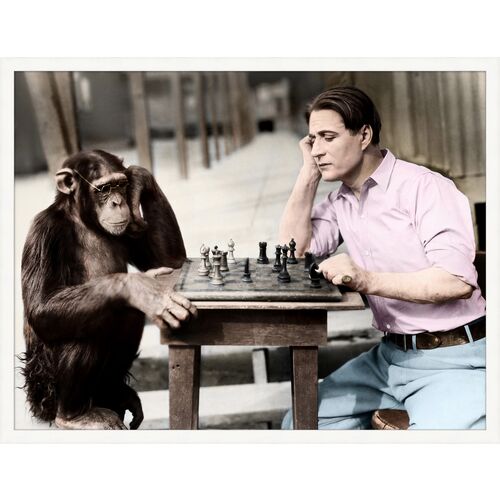Monkey Business 1 Monkey Business