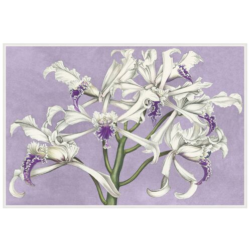 Lillian August, White Orchids on Lilac 1 Lillian August, White Orchids on Lilac