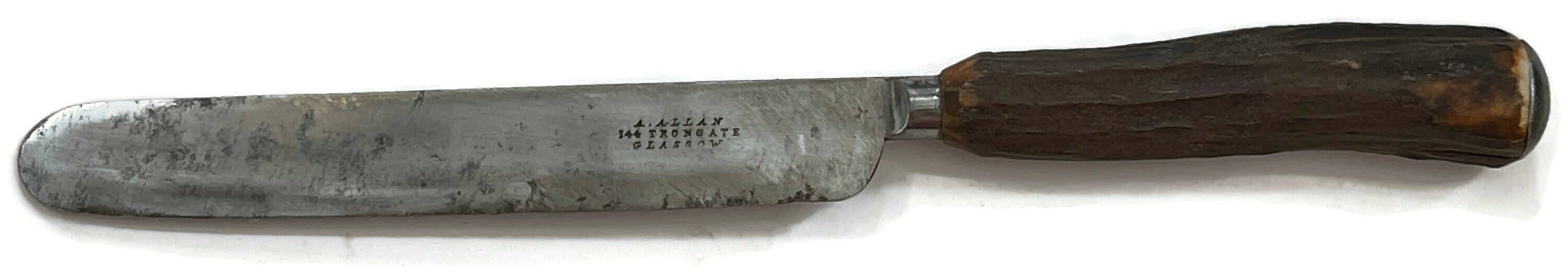 Antique Horn-Handle Dinner Knives, S/6 3 Antique Horn-Handle Dinner Knives, S/6
