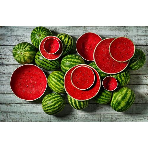 S/2 Watermelon Chargers 3 S/2 Watermelon Chargers