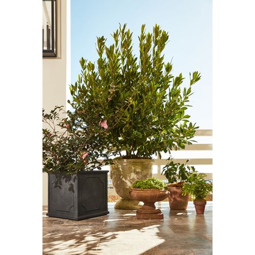 28" French Anduze Planter, White Moss 3 28" French Anduze Planter, White Moss