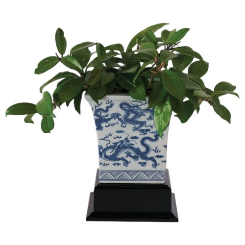 Dragon Blue Square Planter, Blue 3 Dragon Blue Square Planter, Blue