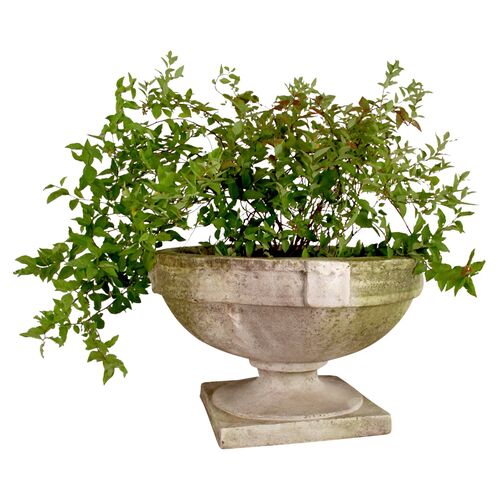 Smooth Strap Urn, White Moss