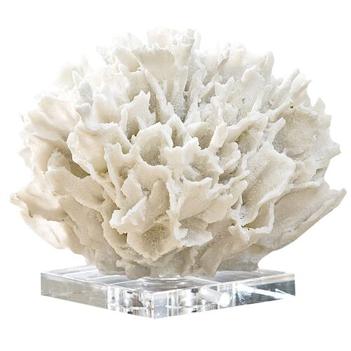 Ribbon Coral, White 1 Ribbon Coral, White