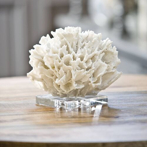 Ribbon Coral, White 2 Ribbon Coral, White