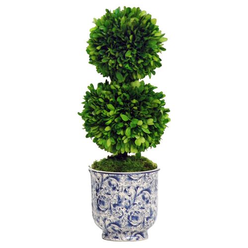 24" Double Ball Boxwood in Planter, Blue 1 24" Double Ball Boxwood in Planter, Blue