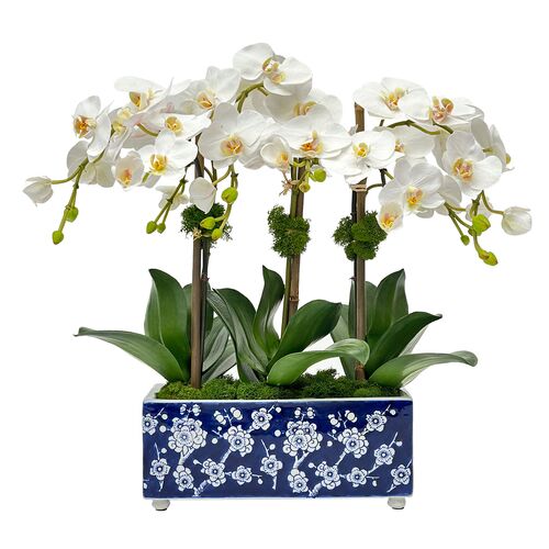 Faux Orchid in Porcelain Arranger, White/Blue 1 Faux Orchid in Porcelain Arranger, White/Blue