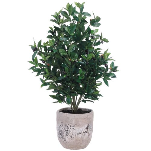 45" Olive Tree in?Cement Planter, Faux 1 45" Olive Tree in?Cement Planter, Faux