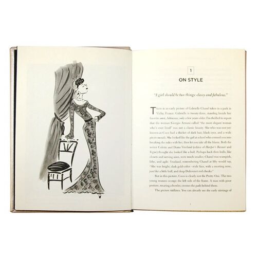 Coco Chanel Leather Edition Book 4 Coco Chanel Leather Edition Book